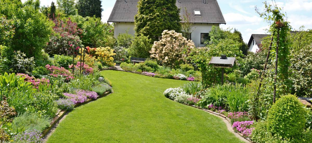 Wie Gartenbau Ihre Außenbereiche funktional und schön macht